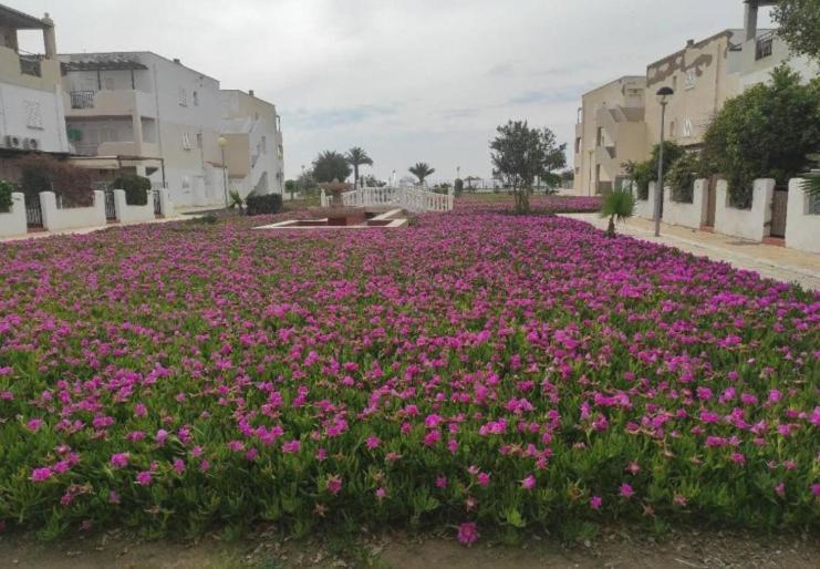 Playas de Vera Naturista Natura World מראה חיצוני תמונה